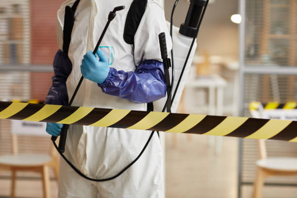 Professional Sewage Cleanup technician working in Rushmore, MN